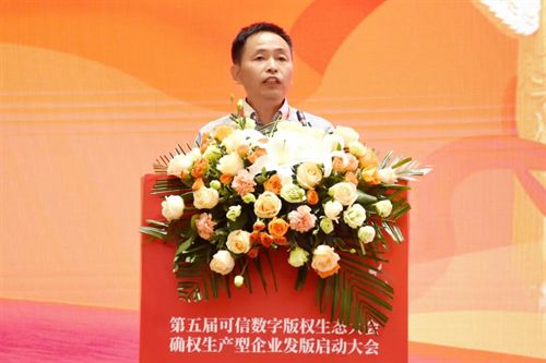 生产型企业发版启动大会 武汉举行第五届可信数字版权生态大会确权(图6)